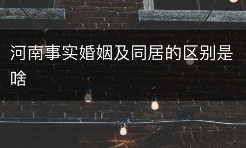 河南事实婚姻及同居的区别是啥