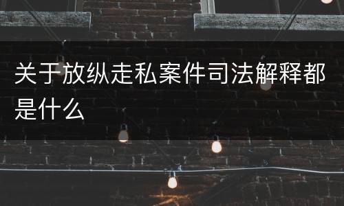 关于放纵走私案件司法解释都是什么