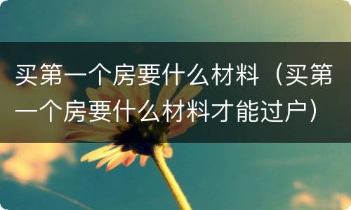 买第一个房要什么材料（买第一个房要什么材料才能过户）