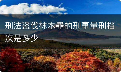刑法盗伐林木罪的刑事量刑档次是多少