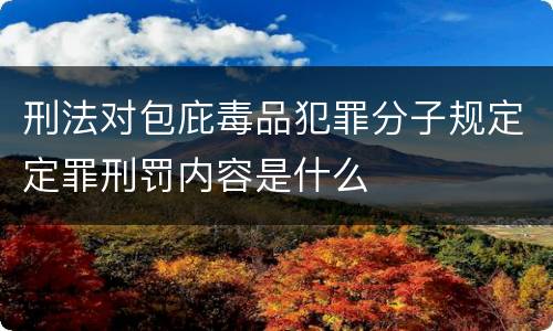 刑法对包庇毒品犯罪分子规定定罪刑罚内容是什么