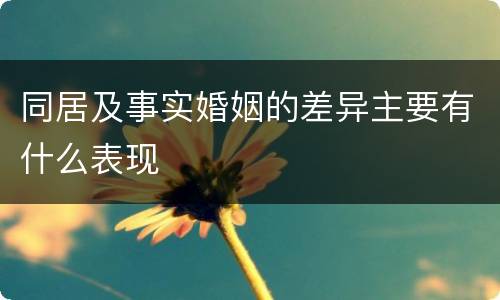 同居及事实婚姻的差异主要有什么表现