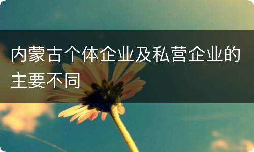 内蒙古个体企业及私营企业的主要不同