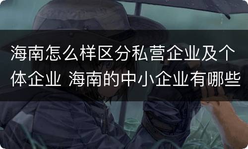海南怎么样区分私营企业及个体企业 海南的中小企业有哪些