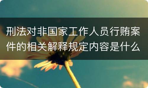 刑法对非国家工作人员行贿案件的相关解释规定内容是什么