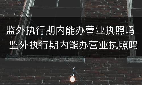 监外执行期内能办营业执照吗 监外执行期内能办营业执照吗怎么办