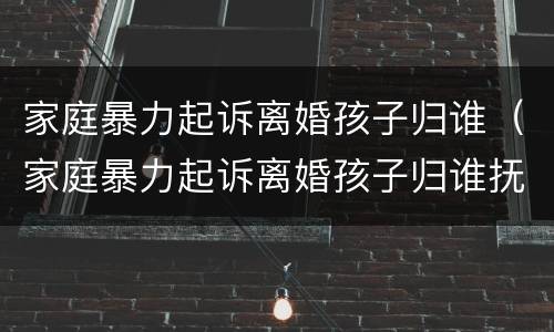 家庭暴力起诉离婚孩子归谁（家庭暴力起诉离婚孩子归谁抚养）