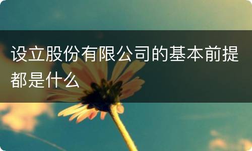 设立股份有限公司的基本前提都是什么