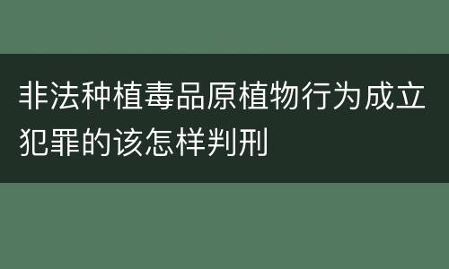 非法种植毒品原植物行为成立犯罪的该怎样判刑