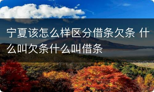 宁夏该怎么样区分借条欠条 什么叫欠条什么叫借条