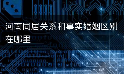 河南同居关系和事实婚姻区别在哪里