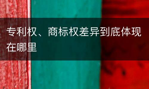 专利权、商标权差异到底体现在哪里
