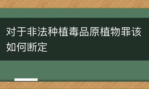 对于非法种植毒品原植物罪该如何断定