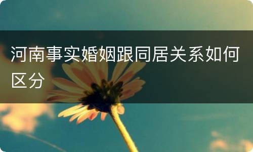 河南事实婚姻跟同居关系如何区分