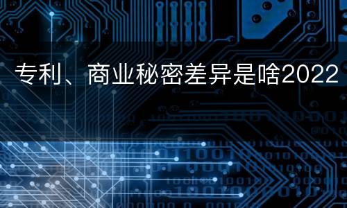 专利、商业秘密差异是啥2022