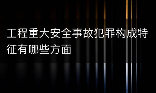 工程重大安全事故犯罪构成特征有哪些方面