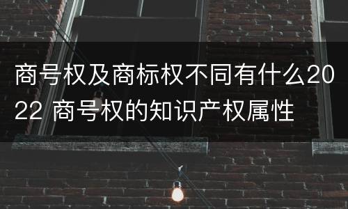 商号权及商标权不同有什么2022 商号权的知识产权属性