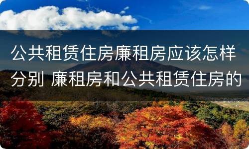 公共租赁住房廉租房应该怎样分别 廉租房和公共租赁住房的区别