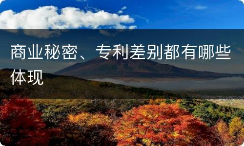 商业秘密、专利差别都有哪些体现