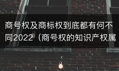 商号权及商标权到底都有何不同2022（商号权的知识产权属性）