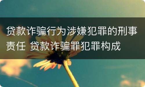 贷款诈骗行为涉嫌犯罪的刑事责任 贷款诈骗罪犯罪构成