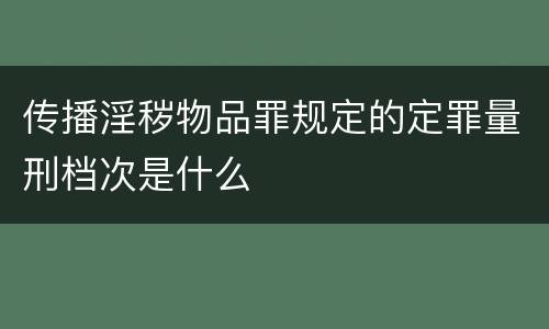 传播淫秽物品罪规定的定罪量刑档次是什么