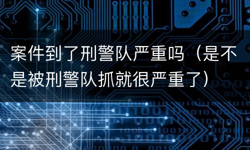 案件到了刑警队严重吗（是不是被刑警队抓就很严重了）
