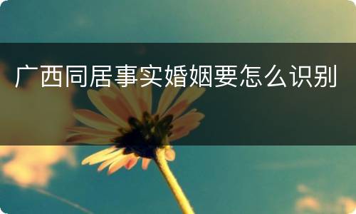 广西同居事实婚姻要怎么识别