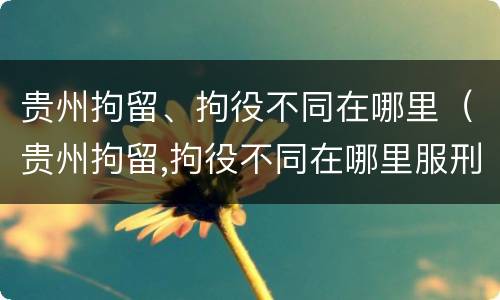 贵州拘留、拘役不同在哪里（贵州拘留,拘役不同在哪里服刑）