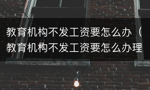 教育机构不发工资要怎么办（教育机构不发工资要怎么办理）