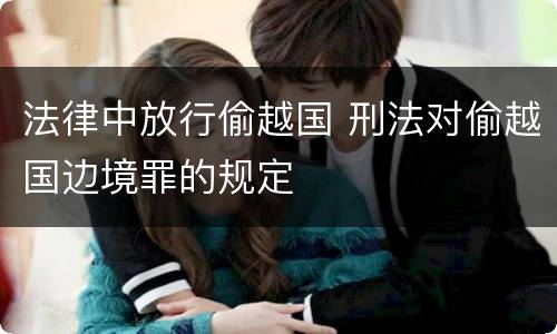 法律中放行偷越国 刑法对偷越国边境罪的规定