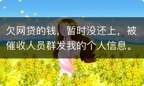 欠网贷的钱，暂时没还上，被催收人员群发我的个人信息。请问他们可以这样做不