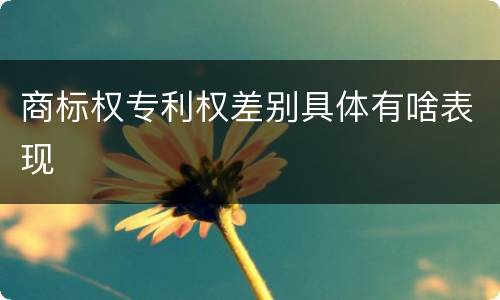 商标权专利权差别具体有啥表现