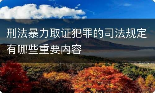 刑法暴力取证犯罪的司法规定有哪些重要内容