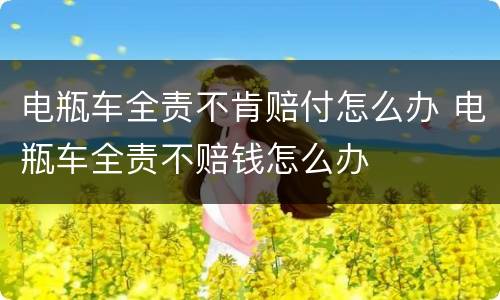 电瓶车全责不肯赔付怎么办 电瓶车全责不赔钱怎么办