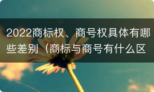 2022商标权、商号权具体有哪些差别（商标与商号有什么区别）
