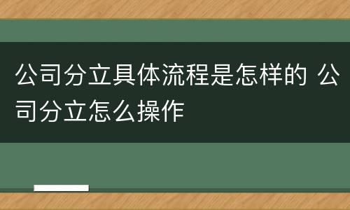 公司分立具体流程是怎样的 公司分立怎么操作