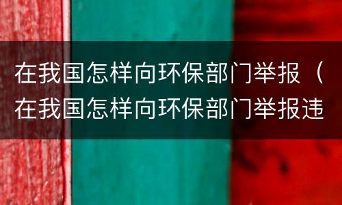 在我国怎样向环保部门举报（在我国怎样向环保部门举报违规行为）