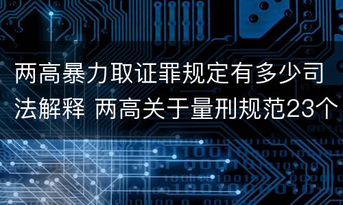 两高暴力取证罪规定有多少司法解释 两高关于量刑规范23个罪名