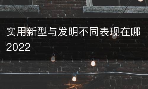 实用新型与发明不同表现在哪2022