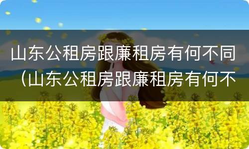 山东公租房跟廉租房有何不同（山东公租房跟廉租房有何不同之处）