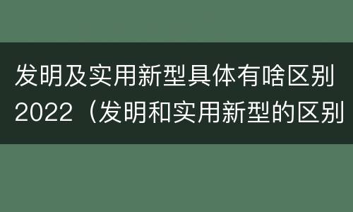 发明及实用新型具体有啥区别2022（发明和实用新型的区别）