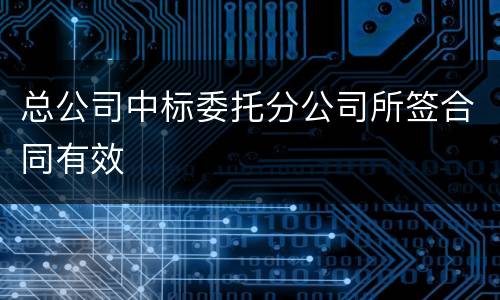 总公司中标委托分公司所签合同有效