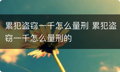 累犯盗窃一千怎么量刑 累犯盗窃一千怎么量刑的