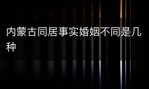内蒙古同居事实婚姻不同是几种