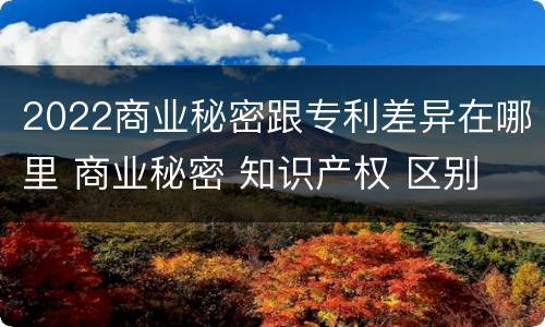 2022商业秘密跟专利差异在哪里 商业秘密 知识产权 区别
