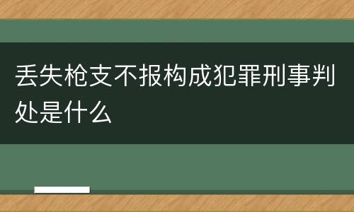 丢失枪支不报构成犯罪刑事判处是什么