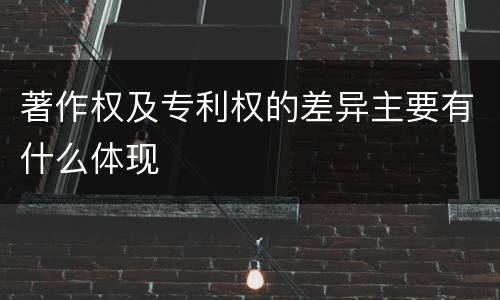 著作权及专利权的差异主要有什么体现