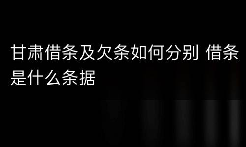 甘肃借条及欠条如何分别 借条是什么条据