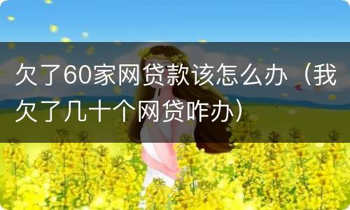 欠了60家网贷款该怎么办（我欠了几十个网贷咋办）